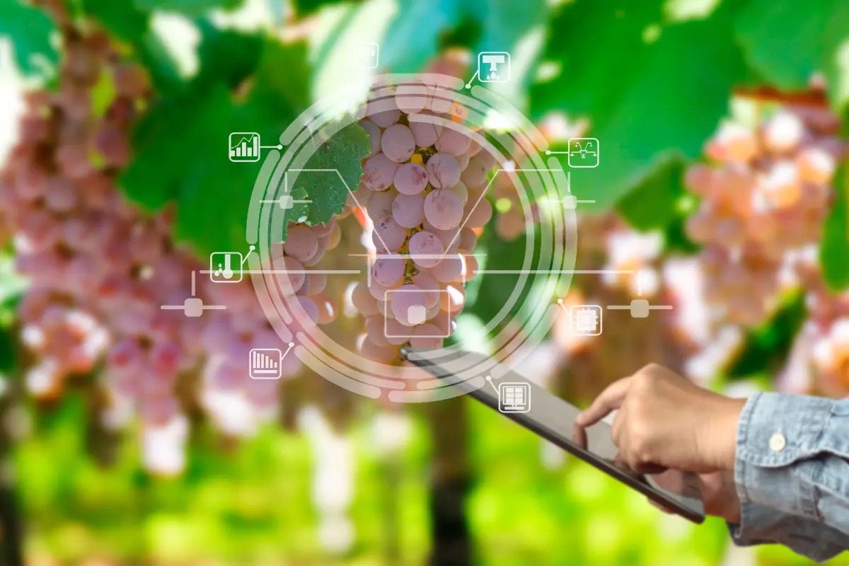 Agricoltura 4.0: le tecnologie rivoluzionano (anche) il mondo del vino