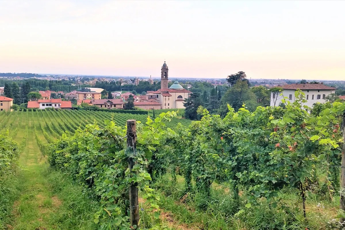 Bergamo e Brescia, terre di vino: viaggio tra Doc e Docg 