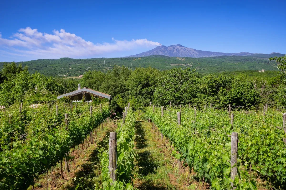 Lavica celebra l'Etna, un vulcano di eccellenze gastronomiche