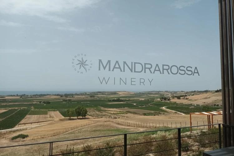 Biodiversità e alto profilo, le parole d’ordine dei vini Mandrarossa 