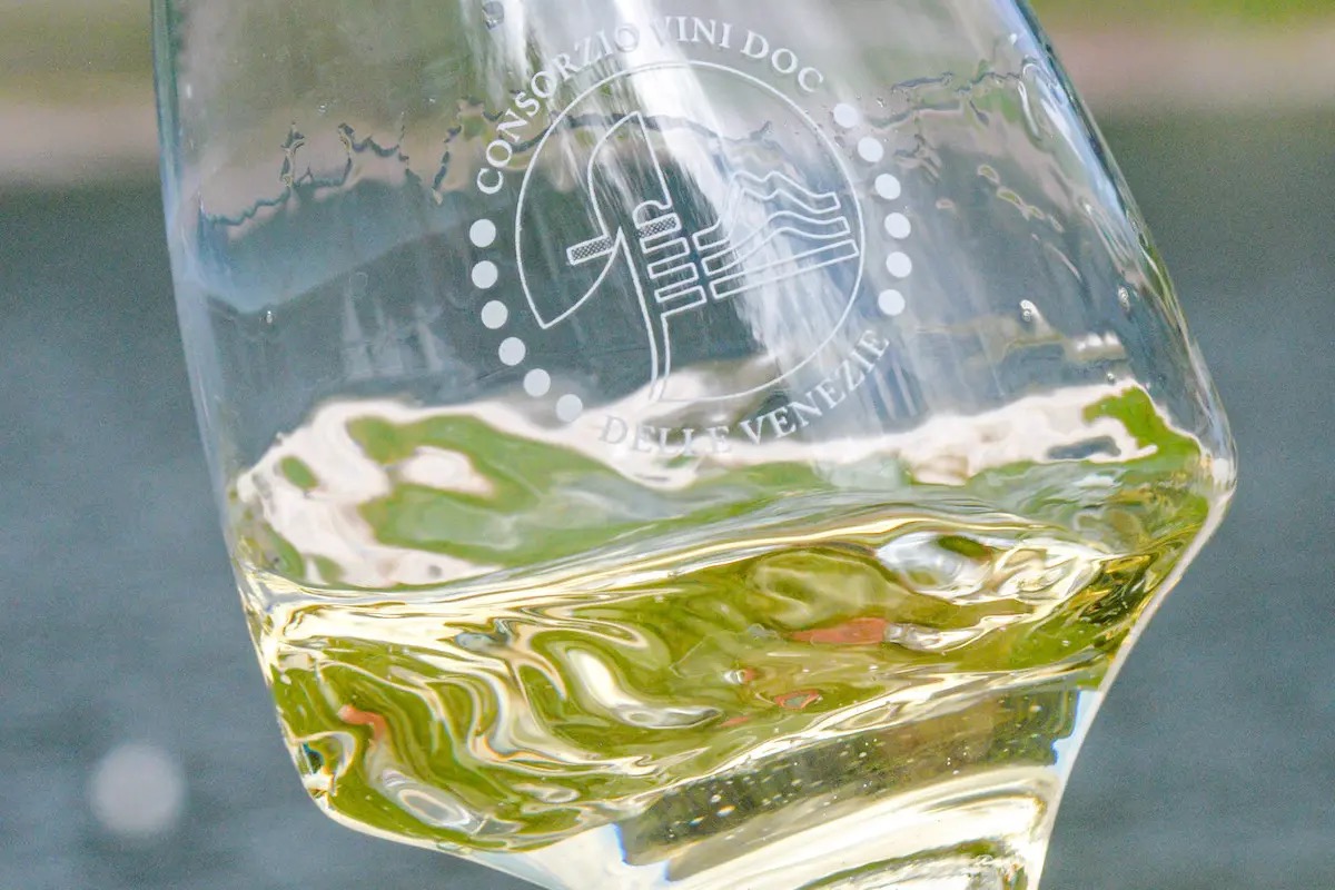 Pinot grigio delle Venezie: cinque milioni di bottiglie in più nel 2023