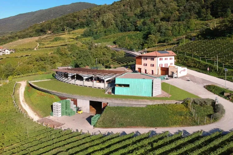 Contro i cambiamenti climatici, la ricetta dei vini di Villa Franciacorta