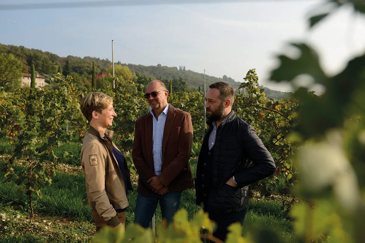 Vini bio e packaging sostenibile: l’impegno “green” di Tinazzi