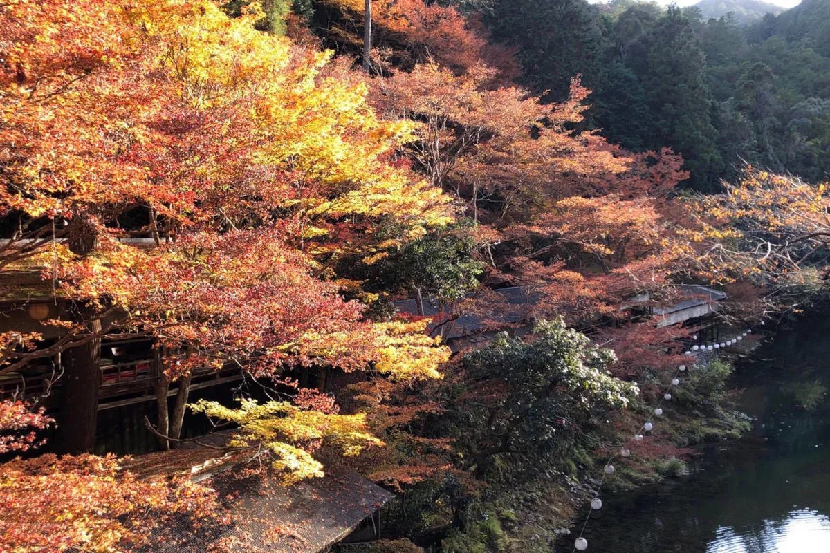 Giappone, cinque luoghi per vivere esperienze rigeneranti nella natura