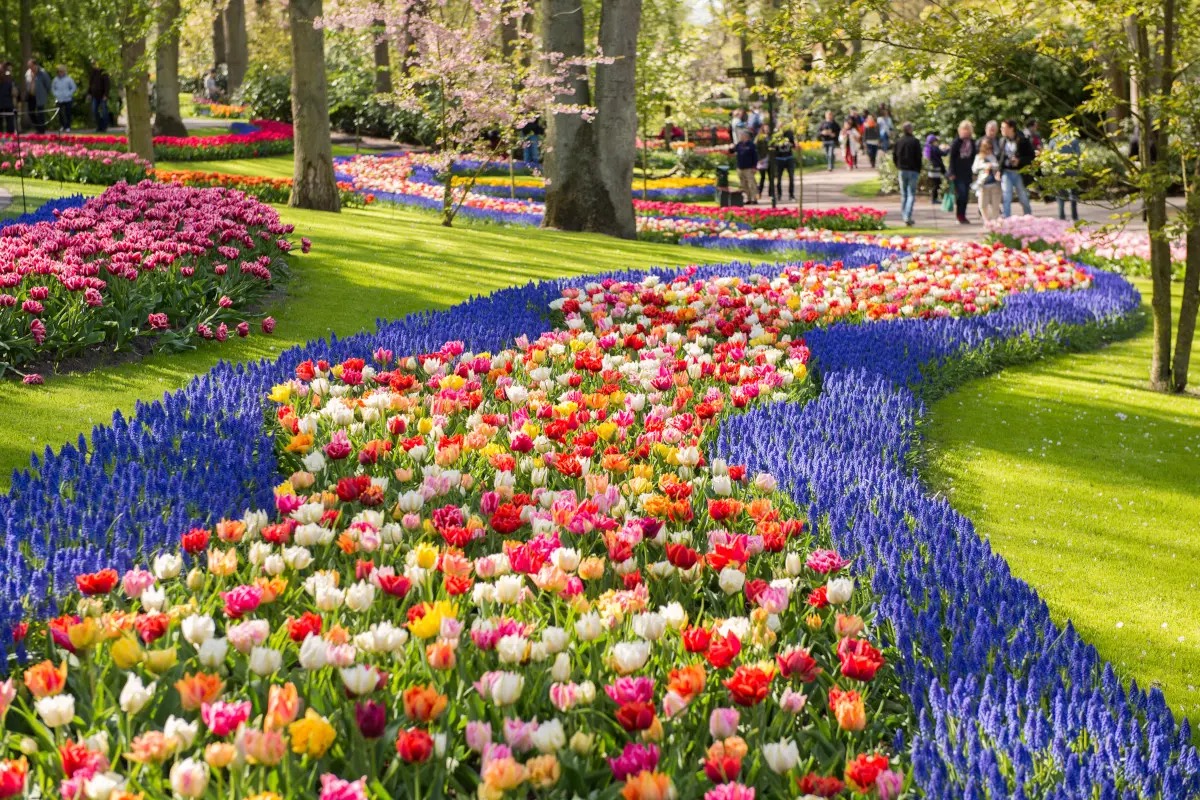  Viaggio tra i fiori: 8 città dove la primavera è uno spettacolo da non perdere