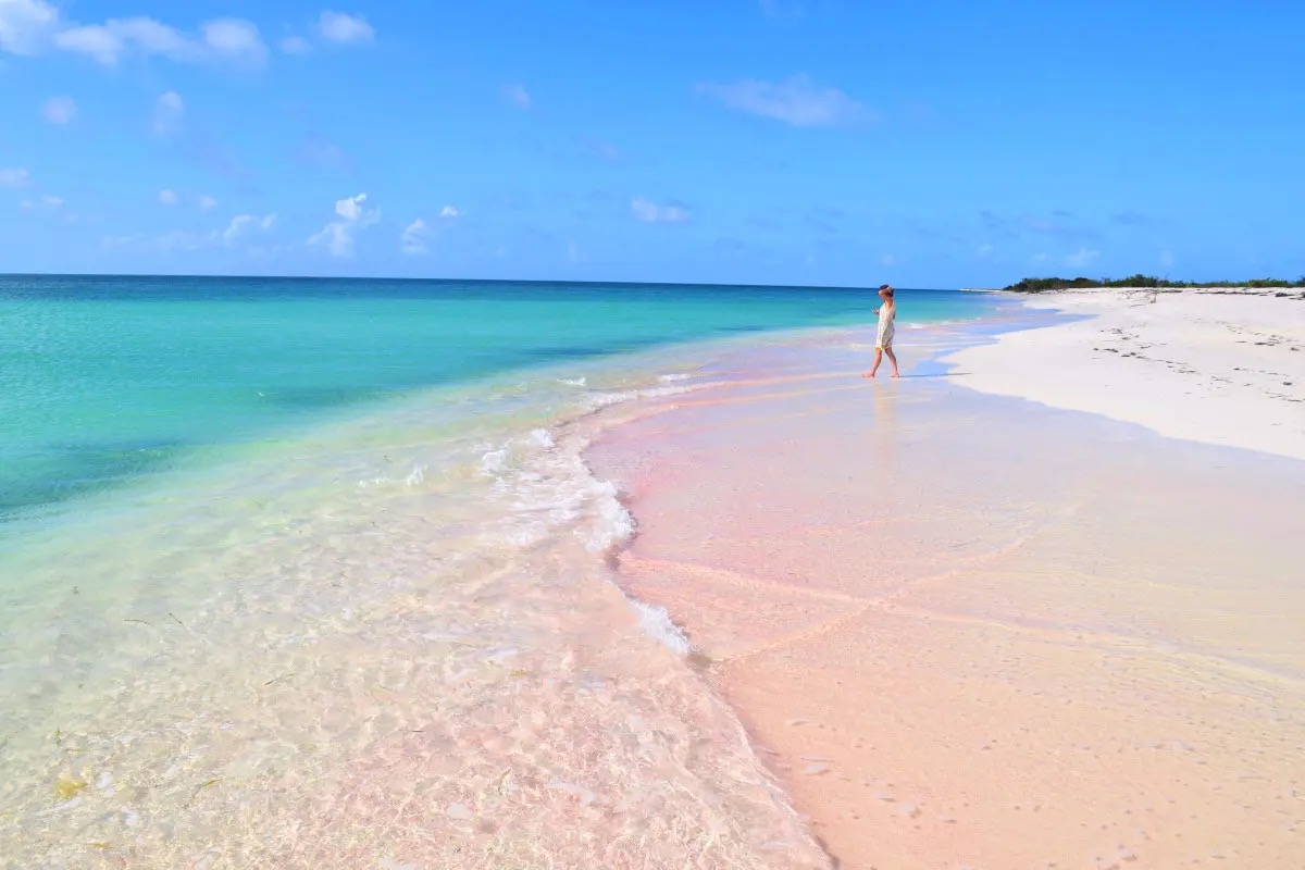 Cinque buoni motivi per visitare Antigua e Barbuda nel 2024 