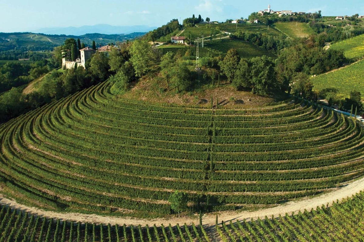 Gorizia e Nova Gorica unite dal vino, simbolo di pace tra i popoli