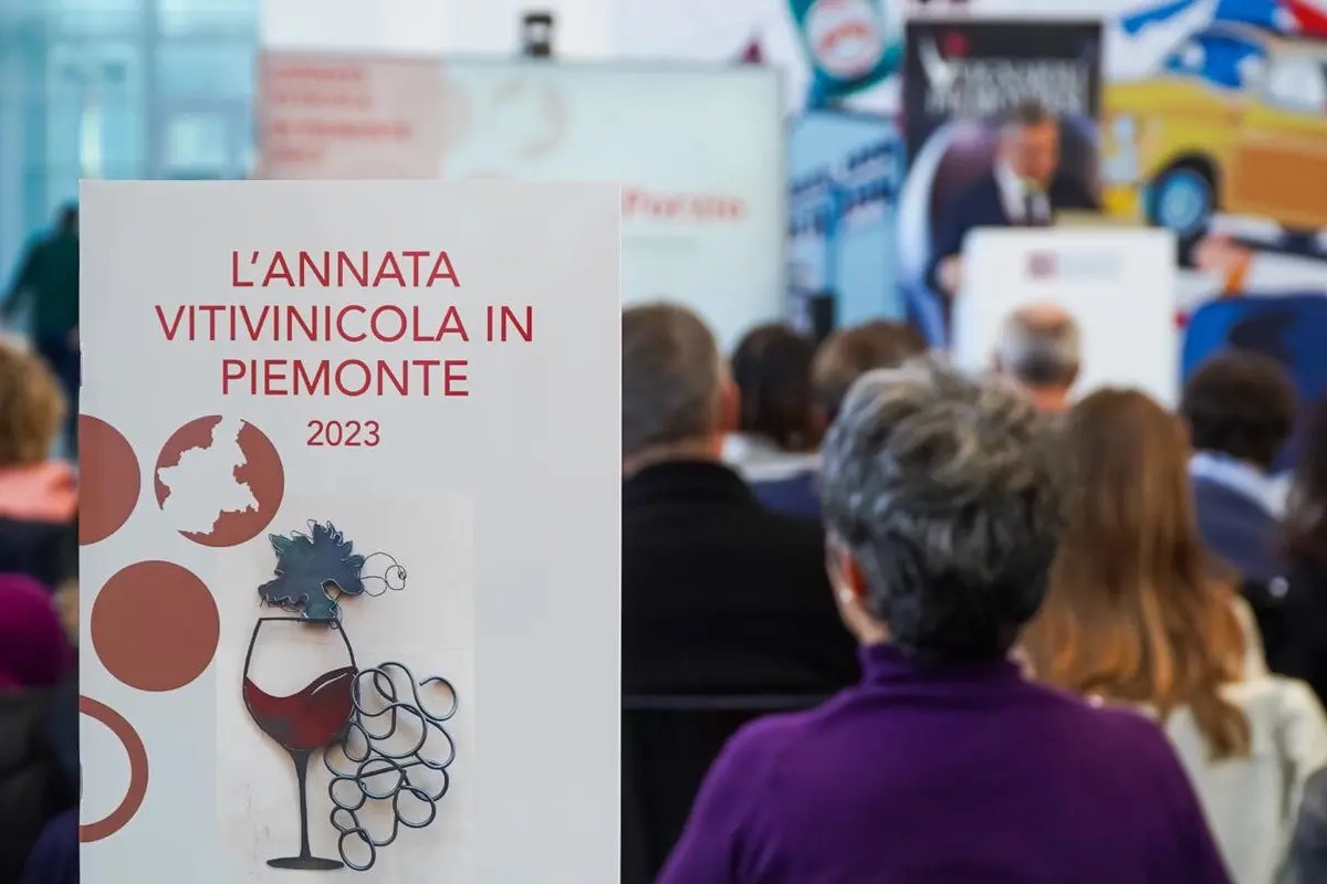 Piemonte, vendemmia 2023 difficile: brillano Freisa, Pelaverga e Ruchè